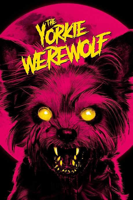 The Yorkie Werewolf